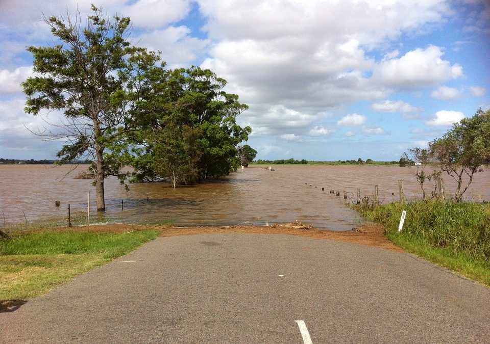 Retour d’expérience : Inondations de mai et juin 2016 dans les bassins moyens de la Seine et de la Loire